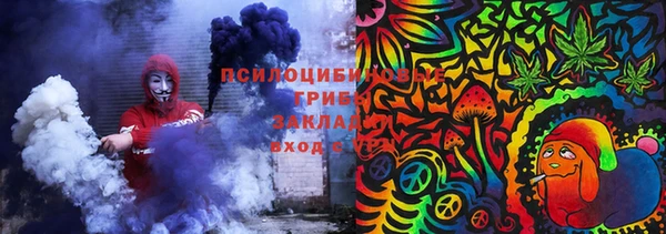 амф Аркадак