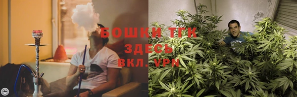 амф Аркадак