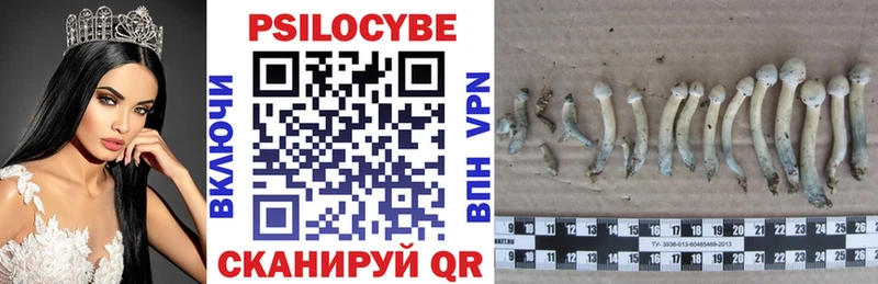 Галлюциногенные грибы мухоморы  Коломна 
